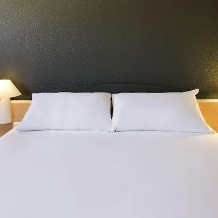 Ibis